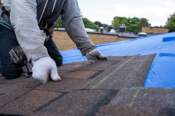 Best Roof Maintenance Services  in Discovery Harbour, HI
